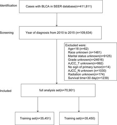 Development and Validation of a Prognostic Model for Predicting Overall Survival in Patients With Bladder Cancer: A SEER-Based Study